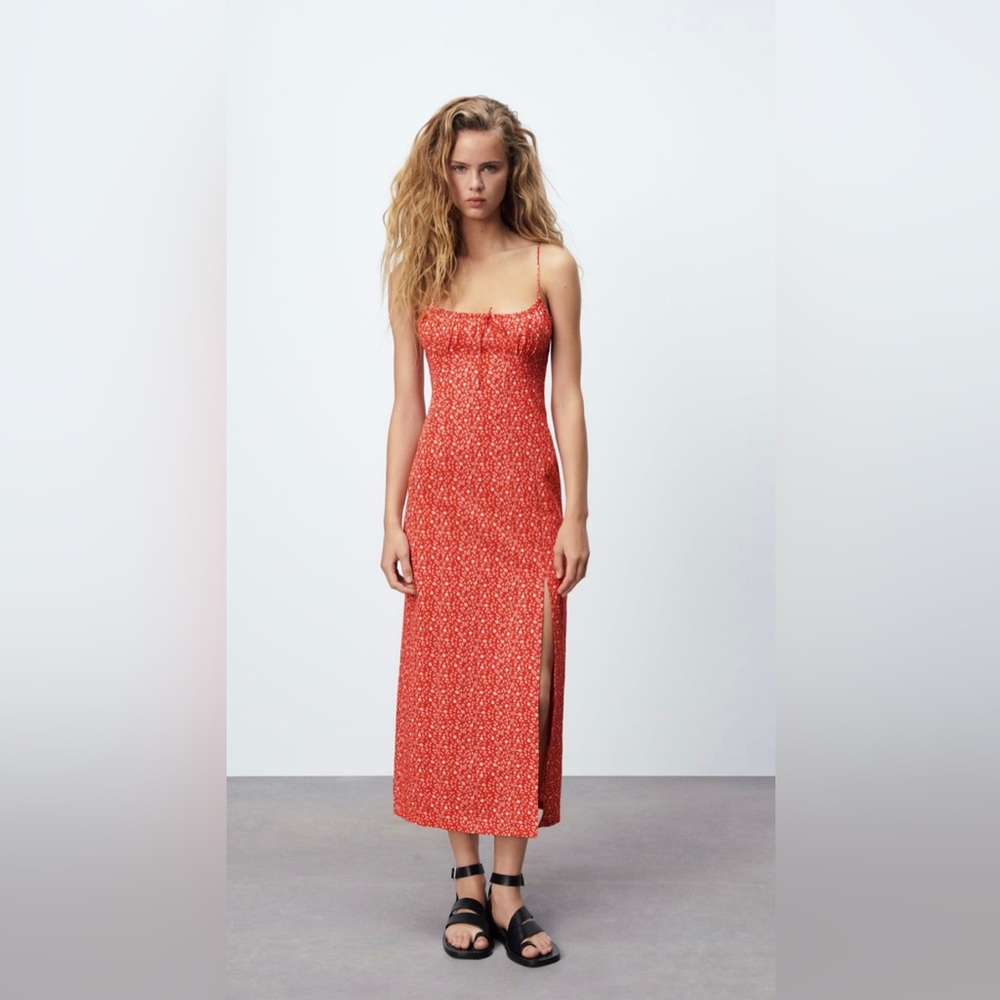 Zara Floral Print Dress
